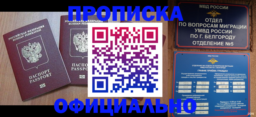 найти адрес прописки в Воронежской области